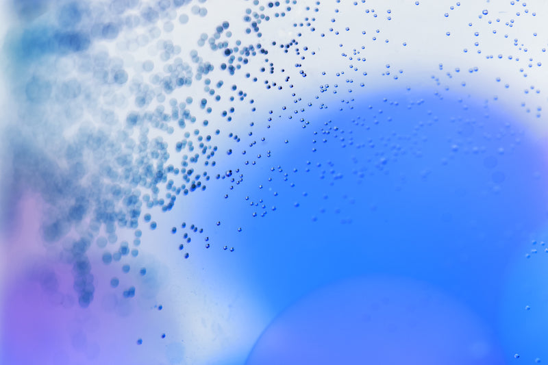 Bifidobacteria lactis