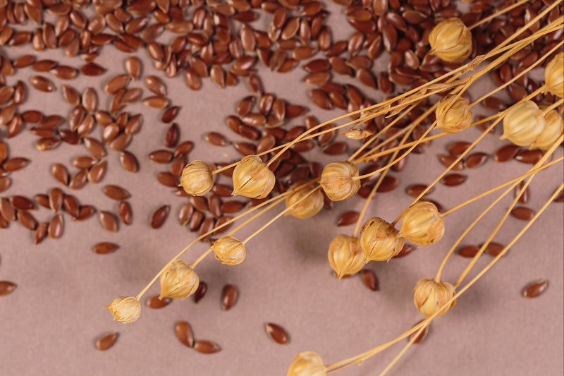Flaxseed